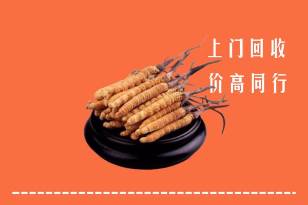 威海乳山回收冬虫夏草