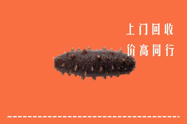 高价求购：威海乳山回收海参