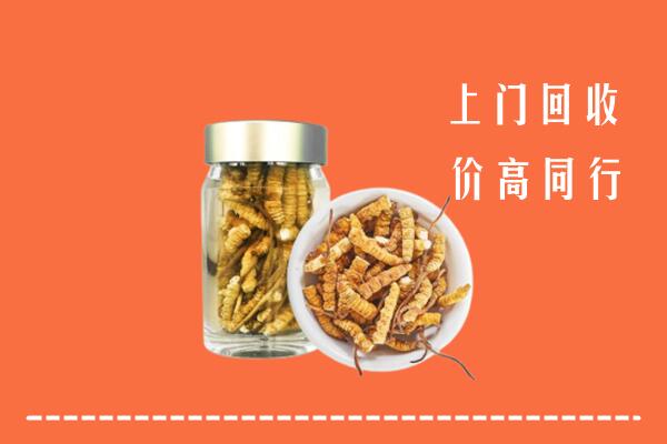 威海乳山回收冬虫夏草