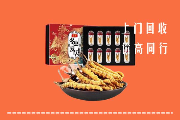 威海乳山回收虫草